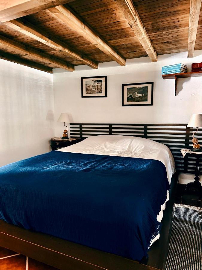 Holiday home Casa Girassol With A Beautiful Private Pool And Garden *